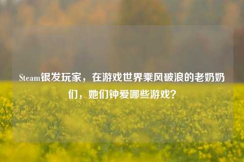 Steam银发玩家，在游戏世界乘风破浪的老奶奶们，她们钟爱哪些游戏？