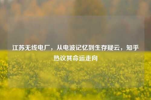 江苏无线电厂，从电波记忆到生存疑云，知乎热议其命运走向