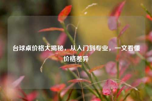 台球桌价格大揭秘，从入门到专业，一文看懂价格差异