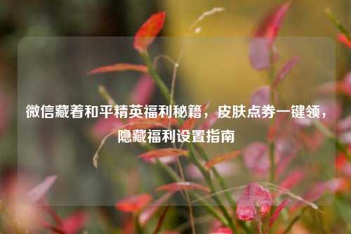 微信藏着和平精英福利秘籍，皮肤点券一键领，隐藏福利设置指南