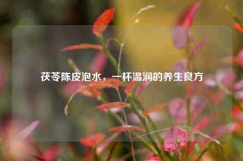 茯苓陈皮泡水，一杯温润的养生良方