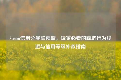 Steam信用分暴跌预警，玩家必看的踩坑行为规避与信用等级补救指南
