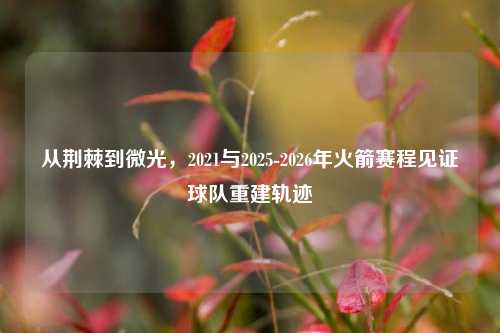 从荆棘到微光，2021与2025-2026年火箭赛程见证球队重建轨迹