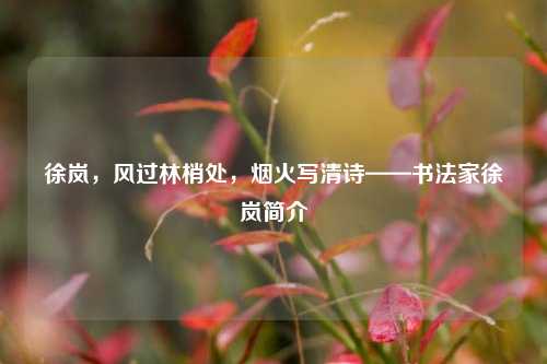 徐岚，风过林梢处，烟火写清诗——书法家徐岚简介