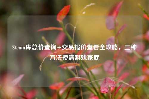 Steam库总价查询+交易报价查看全攻略，三种 *** 摸清游戏家底
