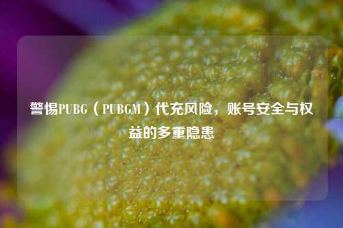 警惕PUBG（PUBGM）代充风险，账号安全与权益的多重隐患