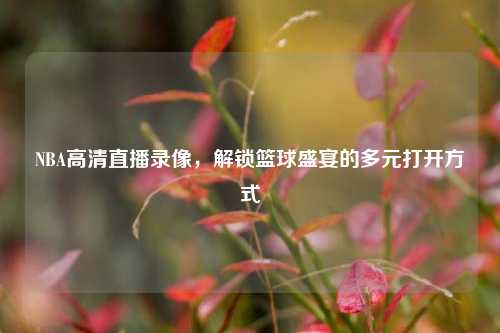 NBA高清直播录像，解锁篮球盛宴的多元打开方式