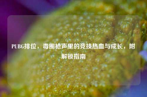 PUBG排位，毒圈枪声里的竞技热血与成长，附解锁指南