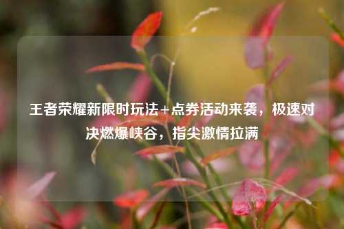 王者荣耀新限时玩法+点券活动来袭，极速对决燃爆峡谷，指尖 *** 拉满