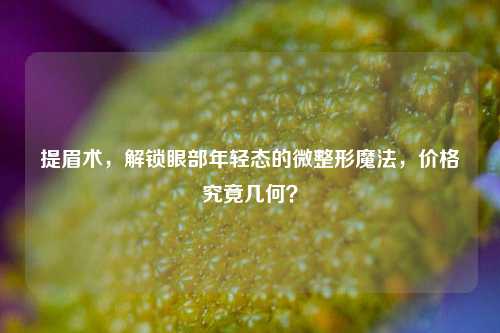 提眉术，解锁眼部年轻态的微整形魔法，价格究竟几何？