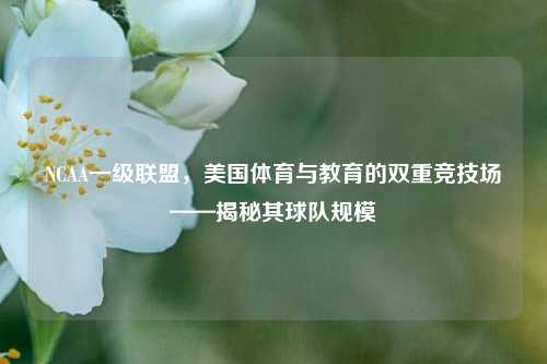 NCAA一级联盟，美国体育与教育的双重竞技场——揭秘其球队规模