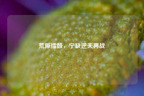荒原擂鼓，宁缺逆天再战