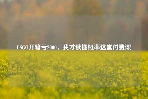 CSGO开箱亏2000，我才读懂概率这堂付费课