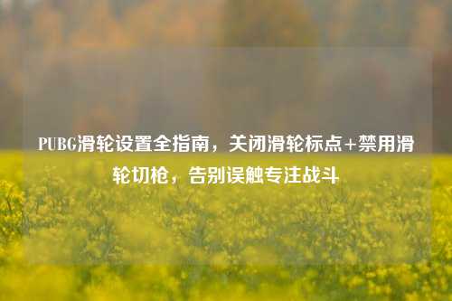 PUBG滑轮设置全指南，关闭滑轮标点+禁用滑轮切枪，告别误触专注战斗