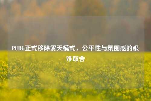 PUBG正式移除雾天模式，公平性与氛围感的艰难取舍