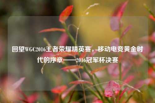 回望WGC2016王者荣耀精英赛，移动电竞黄金时代的序章——2016冠军杯决赛