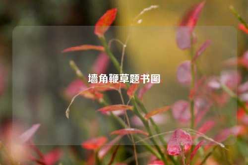 墙角鞭草题书图