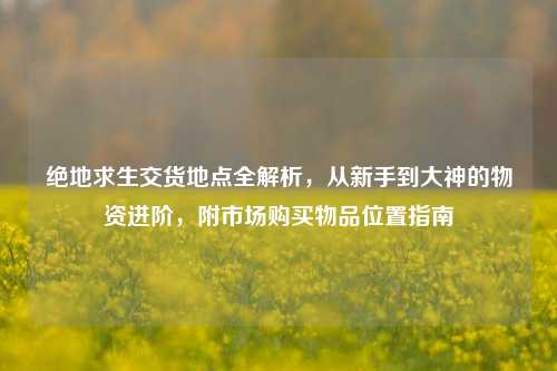 绝地求生交货地点全解析，从新手到大神的物资进阶，附市场购买物品位置指南