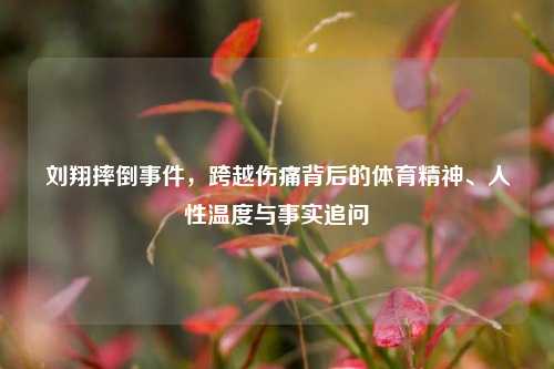 刘翔摔倒事件，跨越伤痛背后的体育精神、人性温度与事实追问