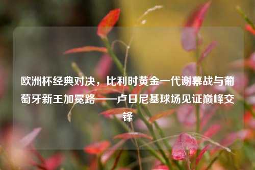欧洲杯经典对决，比利时黄金一代谢幕战与葡萄牙新王加冕路——卢日尼基球场见证巅峰交锋