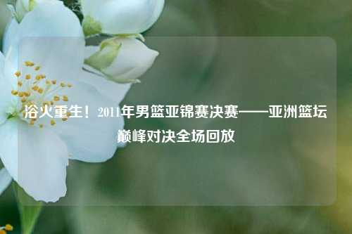 浴火重生！2011年男篮亚锦赛决赛——亚洲篮坛巅峰对决全场回放
