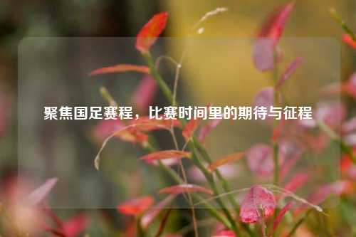 聚焦国足赛程，比赛时间里的期待与征程