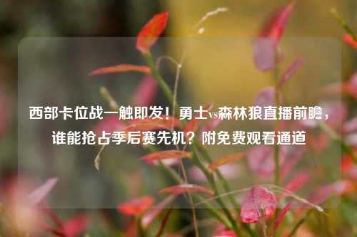 西部卡位战一触即发！勇士vs森林狼直播前瞻，谁能抢占季后赛先机？附免费观看通道