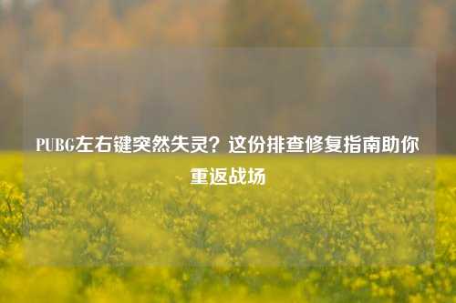 PUBG左右键突然失灵？这份排查修复指南助你重返战场