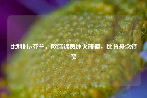 比利时vs芬兰，欧陆绿茵冰火碰撞，比分悬念待解