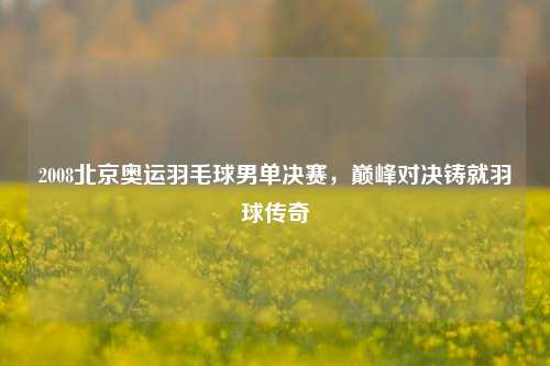 2008北京奥运羽毛球男单决赛，巅峰对决铸就羽球传奇