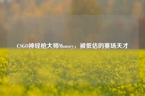 CSGO神经枪大师Monsey，被低估的赛场天才