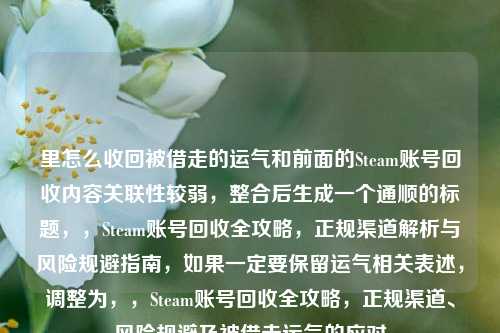 里怎么收回被借走的运气和前面的Steam账号回收内容关联性较弱，整合后生成一个通顺的标题，，Steam账号回收全攻略，正规渠道解析与风险规避指南，如果一定要保留运气相关表述，调整为，，Steam账号回收全攻略，正规渠道、风险规避及被借走运气的应对