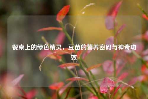 餐桌上的绿色精灵，豆苗的营养密码与神奇功效