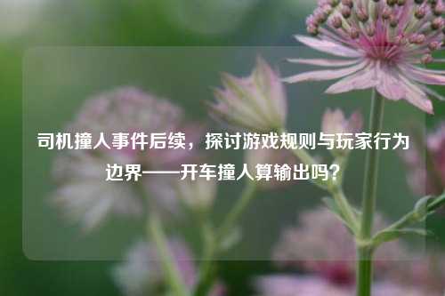 司机撞人事件后续，探讨游戏规则与玩家行为边界——开车撞人算输出吗？