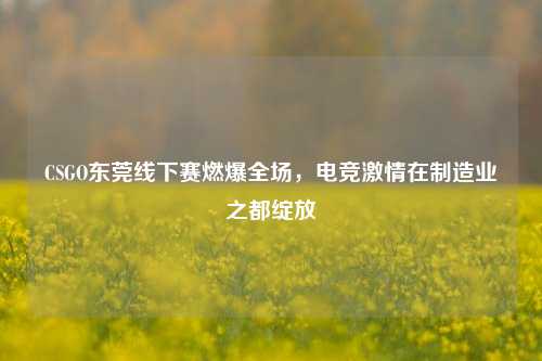 CSGO东莞线下赛燃爆全场，电竞 *** 在制造业之都绽放