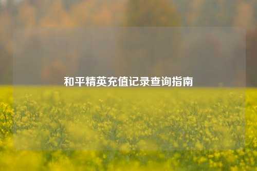 和平精英充值记录查询指南
