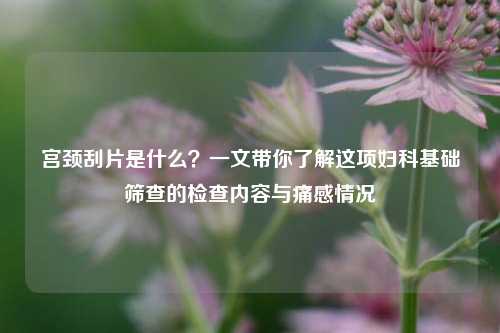 宫颈刮片是什么？一文带你了解这项妇科基础筛查的检查内容与痛感情况
