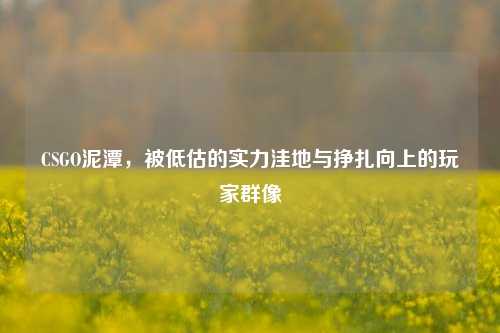 CSGO泥潭，被低估的实力洼地与挣扎向上的玩家群像