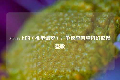 Steam上的〈机甲遗梦〉，争议里回望科幻浪漫圣歌