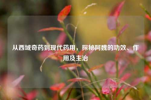 从西域奇药到现代药用，探秘阿魏的功效、作用及主治