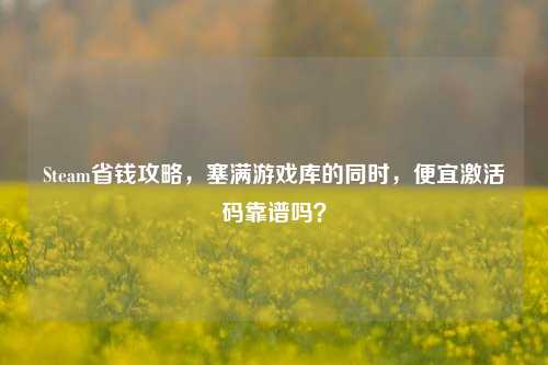 Steam省钱攻略,塞满游戏库的同时,便宜激活码靠谱吗?