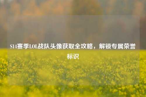 S14赛季LOL战队头像获取全攻略，解锁专属荣誉标识
