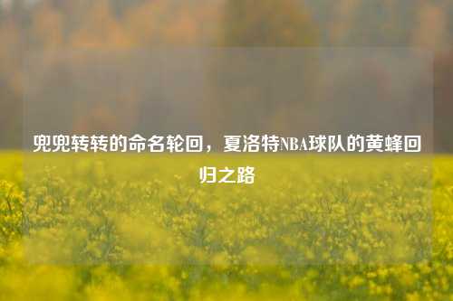 兜兜转转的命名轮回，夏洛特NBA球队的黄蜂回归之路