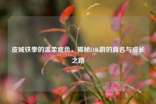 皮城铁拳的温柔底色，揭秘LOL蔚的真名与成长之路