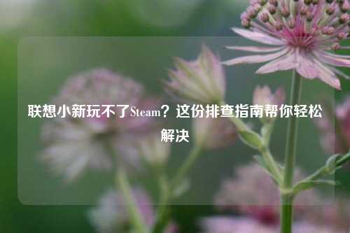 联想小新玩不了Steam？这份排查指南帮你轻松解决
