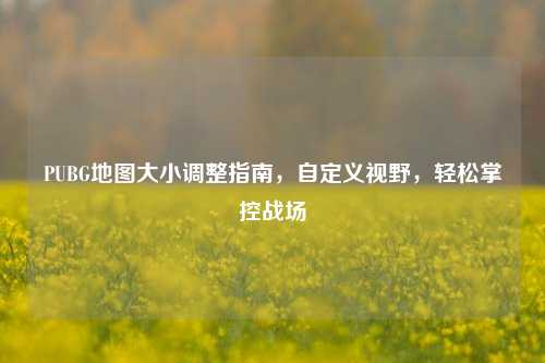 PUBG地图大小调整指南，自定义视野，轻松掌控战场