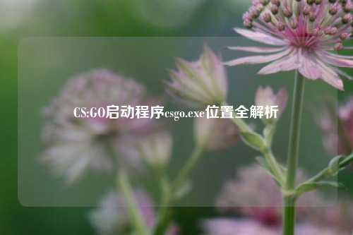 CS:GO启动程序csgo.exe位置全解析