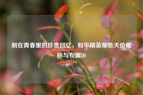 刻在青春里的珍贵回忆,和平精英那些天价昵称与专属ID