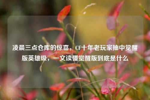 凌晨三点仓库的惊喜，CF十年老玩家抽中觉醒版英雄级，一文读懂觉醒版到底是什么
