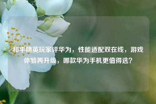 和平精英玩家评华为，性能适配双在线，游戏体验再升级，哪款华为手机更值得选？
